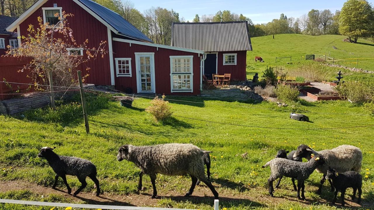 Bed and Breakfast Sjoebacken Gard Lerdala Екстер'єр фото